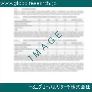 グローバルリサーチ調査資料のイメージ
